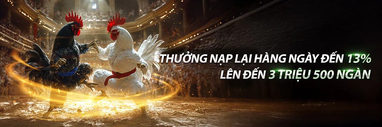 Đá gà trực tuyến kịch tính tại no789 khuyến mãi